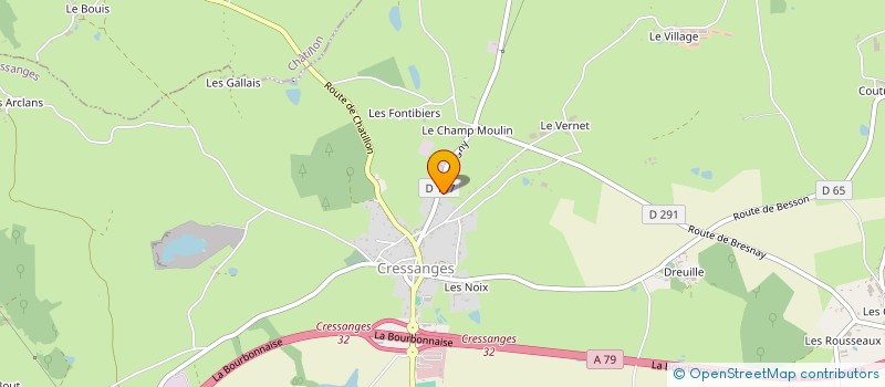 localisation de l'entreprise LES NIORELS  CRESSANGES