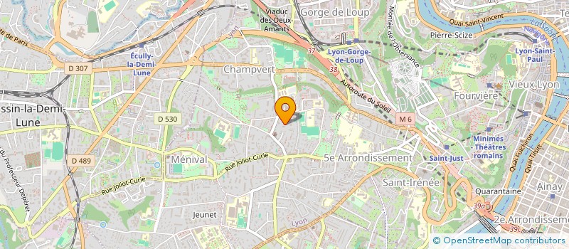 localisation de l'entreprise LES NIVEOLES  LYON