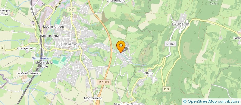 localisation de l'entreprise LES NOYERS  SAINT-AMOUR