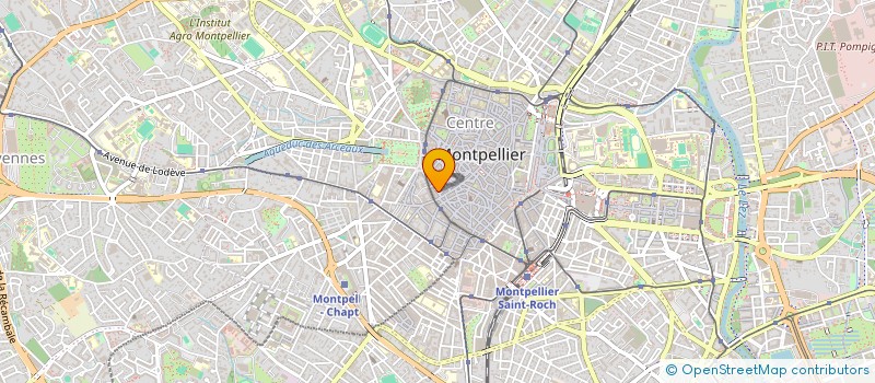 localisation de l'entreprise LES NUITS DU CHAT à MONTPELLIER