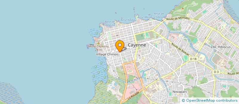 localisation de l'entreprise LES OLIVIERS  CAYENNE