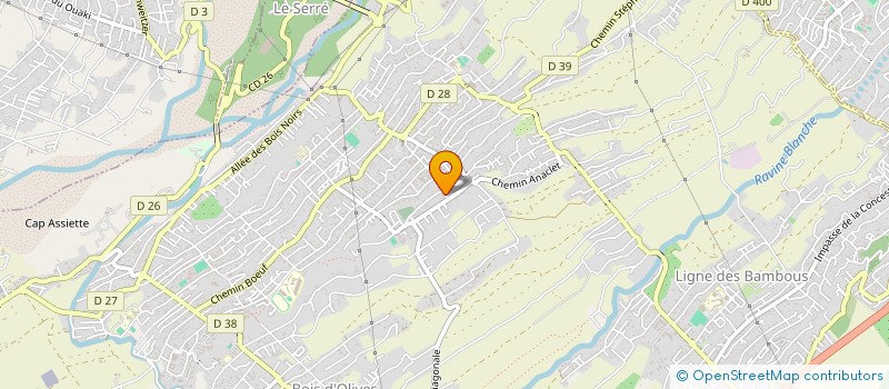localisation de l'entreprise LES OLIVIERS à SAINT-PIERRE