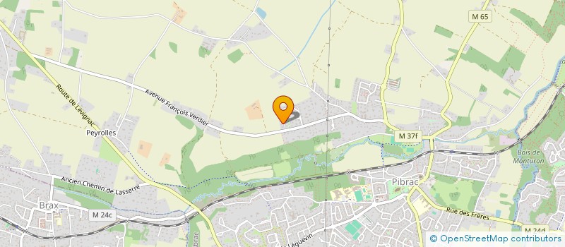localisation de l'entreprise LES OLIVIERS  PIBRAC