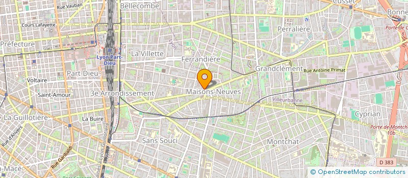 localisation de l'entreprise LES OLIVIERS D OR  LYON