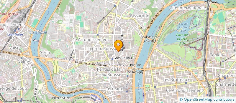 localisation de l'entreprise LES OLIVIERS DE PAPI  LYON