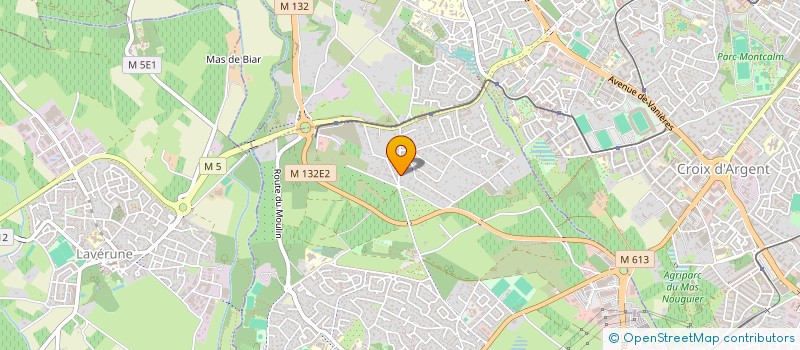 localisation de l'entreprise LES OLIVIERS DE SAINT JEAN  SAINT-JEAN-DE-VEDAS