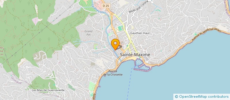 localisation de l'entreprise LES OLIVIERS DORES à SAINTE-MAXIME