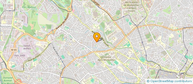 localisation de l'entreprise LES OLIVIERS DU NAURIEL à MONTPELLIER