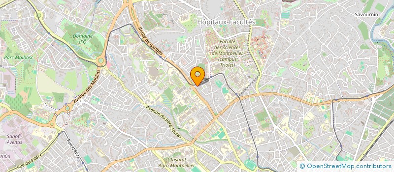 localisation de l'entreprise LES OMBELLES à MONTPELLIER