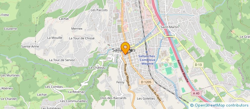 localisation de l'entreprise LES OPTICIENS DU MONT JOLY à SALLANCHES