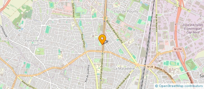 localisation de l'entreprise LES ORCHIDEES à DIJON