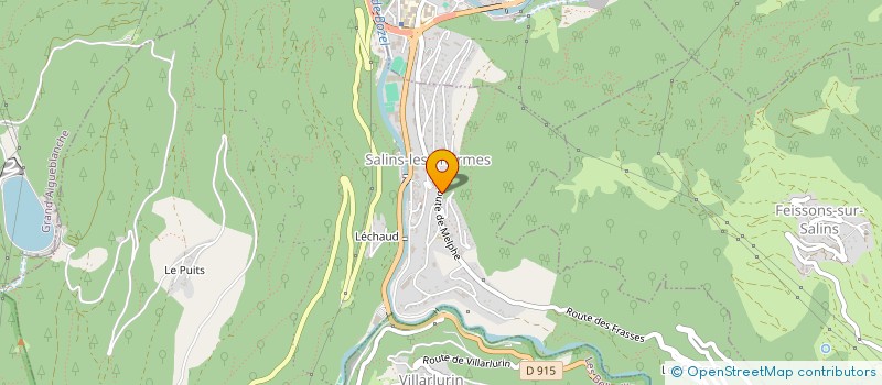 localisation de l'entreprise LES OURS  SALINS-FONTAINE