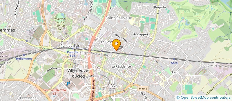 localisation de l'entreprise LES P'TITES MASCOTTES  VILLENEUVE-D'ASCQ