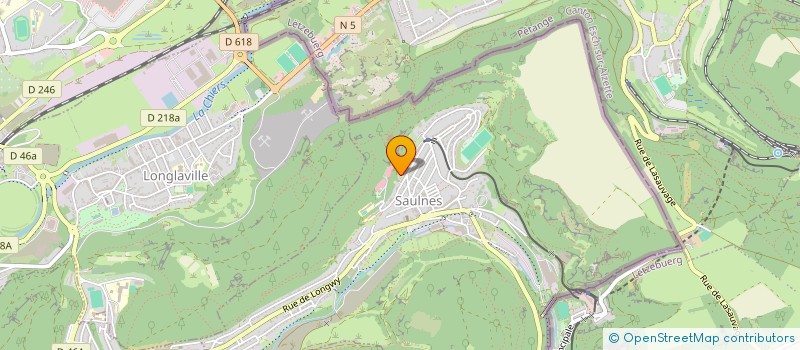 localisation de l'entreprise LES P'TITS CRAYONS SAULNOIS  SAULNES