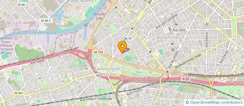 localisation de l'entreprise LES P'TITS CURIEUX à LILLE