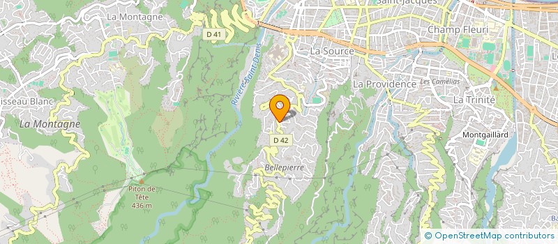 localisation de l'entreprise LES P'TITS DOUDOUS DE LA REUNION NORD  SAINT-DENIS