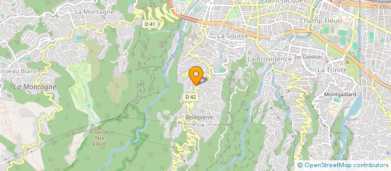 localisation de l'entreprise LES P'TITS DOUDOUS DE LA REUNION - 'TI DOUDOUS PEI  SAINT-DENIS