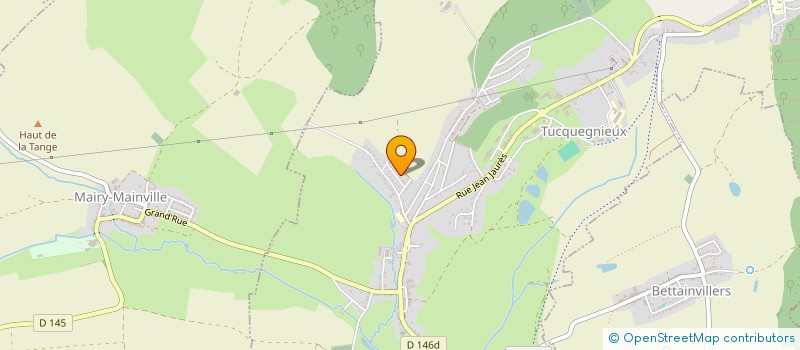 localisation de l'entreprise LES P'TITS LOUPS DE LOUISE MICHEL  TUCQUEGNIEUX