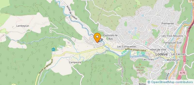 localisation de l'entreprise LES P'TITS MALINS DE ST MARTIN à LODEVE
