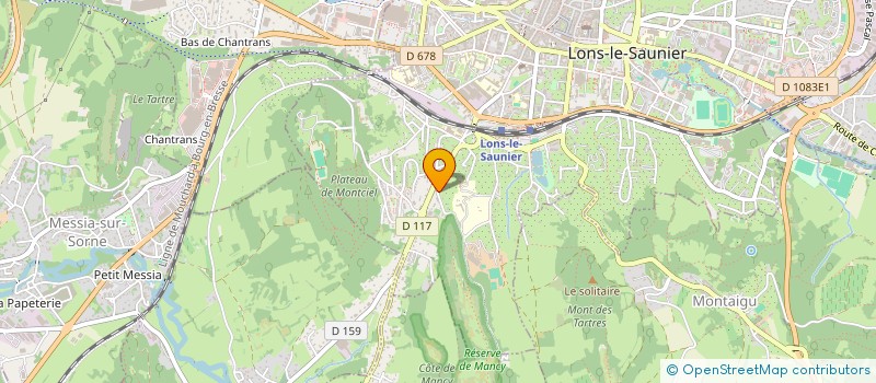 localisation de l'entreprise LES P'TITS POTES, TAXI ET VTC  LONS-LE-SAUNIER