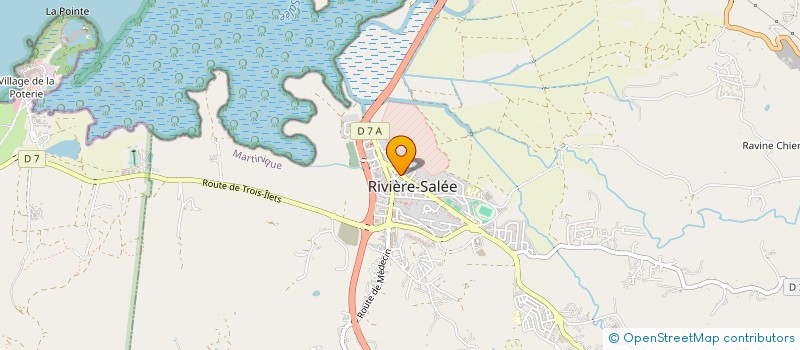 localisation de l'entreprise LES PALETUVIERS à RIVIERE-SALEE