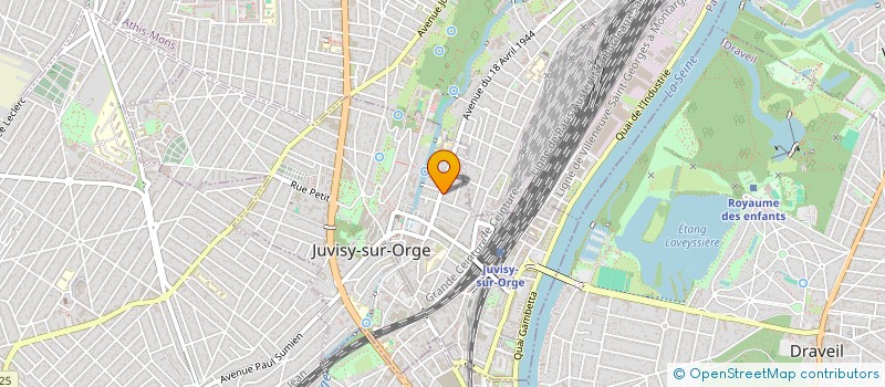 localisation de l'entreprise LES PALMIERS à JUVISY-SUR-ORGE