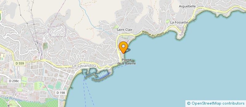 localisation de l'entreprise LES PALMIERS à LE LAVANDOU