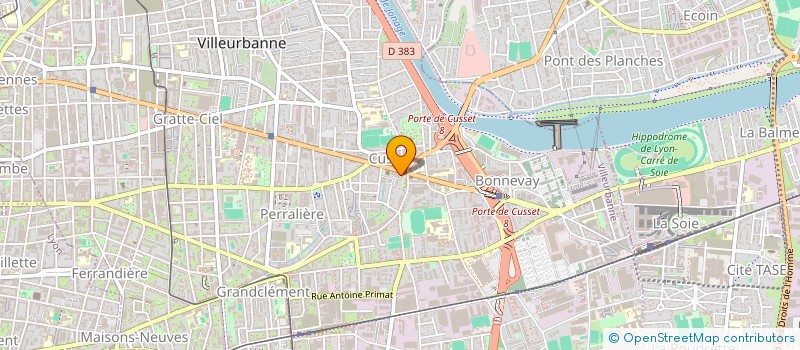 localisation de l'entreprise LES PALMIERS  VILLEURBANNE