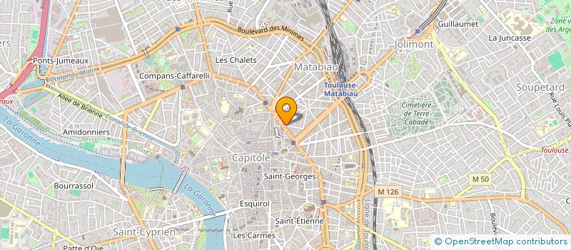 localisation de l'entreprise LES PALMIERS à TOULOUSE