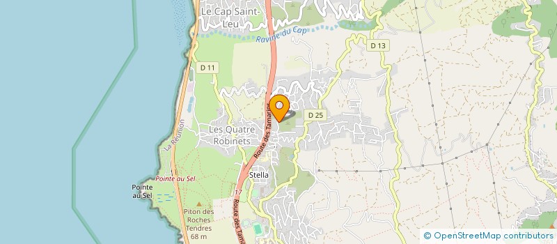 localisation de l'entreprise LES PALMIERS  SAINT-LEU