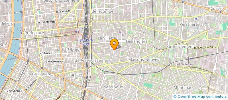 localisation de l'entreprise LES PALMIERS DE LA PANETIERE à LYON