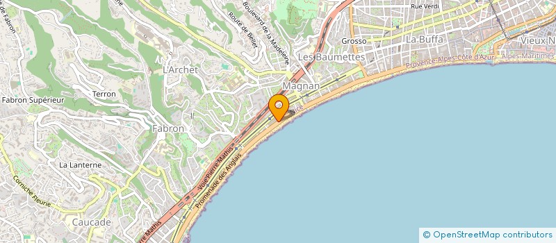 localisation de l'entreprise LES PALMIERS DE LA PROMENADE à NICE