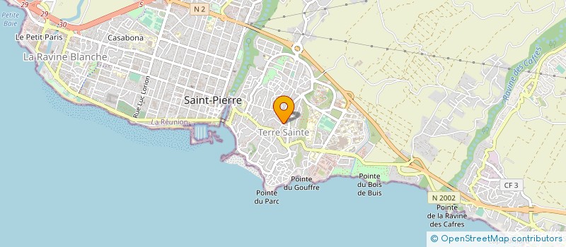 localisation de l'entreprise LES PALMIERS DE LA REUNION à SAINT PIERRE