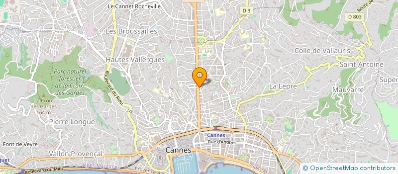 localisation de l'entreprise LES PALMIERS DE MONTFLEURY à CANNES
