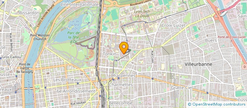 localisation de l'entreprise LES PAPOUILLES DU TONKIN à VILLEURBANNE