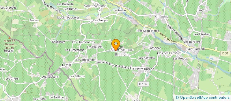 localisation de l'entreprise LES PASSIONNES  SAINT-AMOUR-BELLEVUE