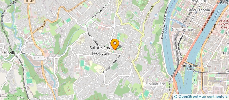 localisation de l'entreprise LES PATAPONS  SAINTE-FOY-LES-LYON