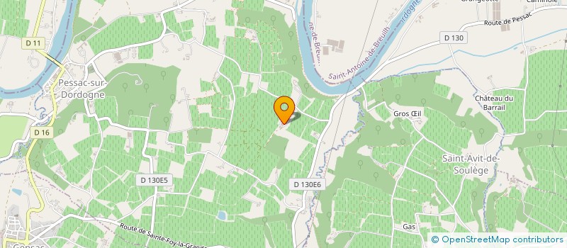 localisation de l'entreprise LES PECHEURS DE LA DUREZE ET DE LA SOULEGE à PESSAC-SUR-DORDOGNE