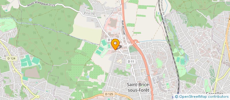 localisation de l'entreprise LES PEINTURES FRANCAISES INDUSTRIELLES  SAINT-BRICE-SOUS-FORET