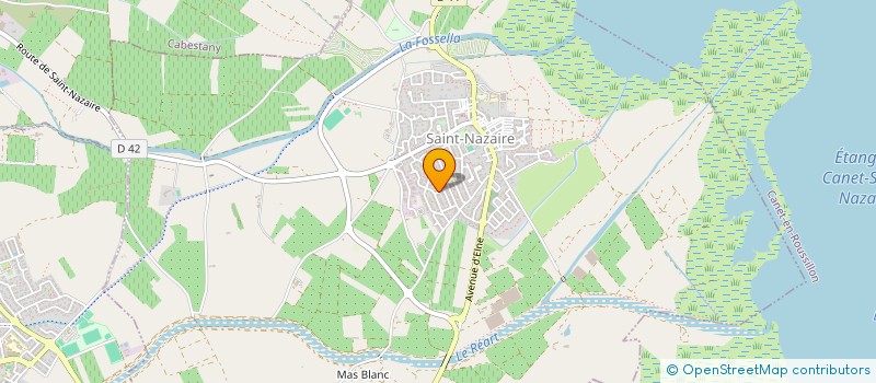 localisation de l'entreprise LES PELERINS  SAINT-NAZAIRE