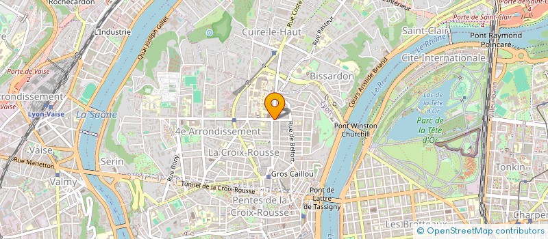 localisation de l'entreprise LES PENTES  LYON