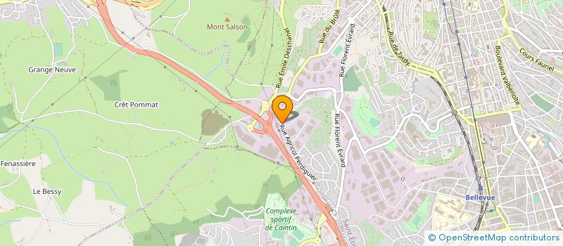 localisation de l'entreprise LES PEP LOIRE DOMES ALLIER à SAINT-ETIENNE