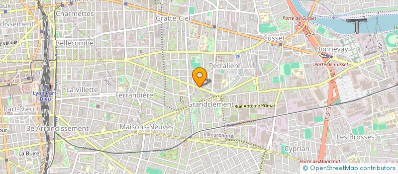 localisation de l'entreprise LES PEPITES DE CELINE  VILLEURBANNE