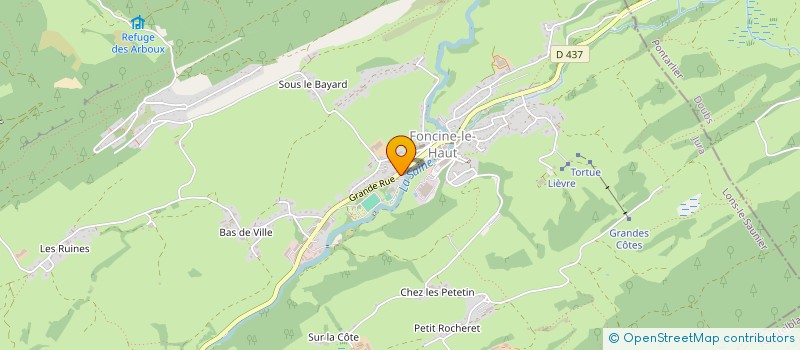 localisation de l'entreprise LES PETITES GRAINES  FONCINE-LE-HAUT