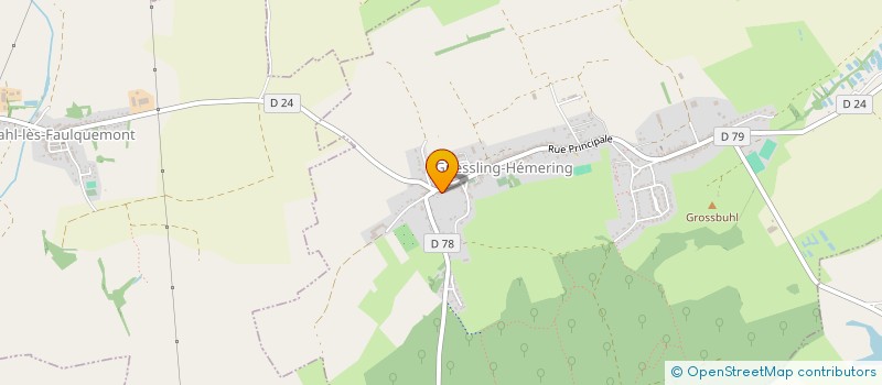 localisation de l'entreprise LES PETITS ARTISANS à GUESSLING-HEMERING
