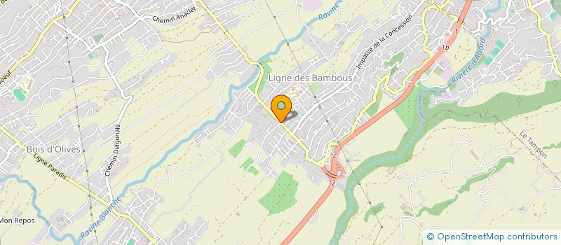 localisation de l'entreprise LES PETITS BAMBOUS à SAINT-PIERRE