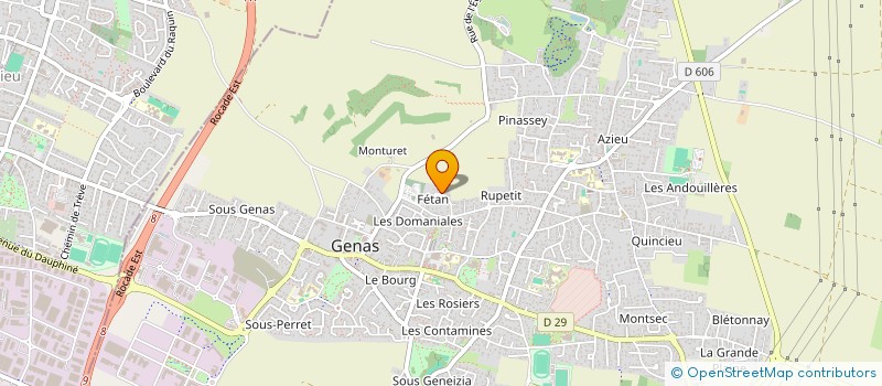 localisation de l'entreprise LES PETITS KONFIS  GENAS