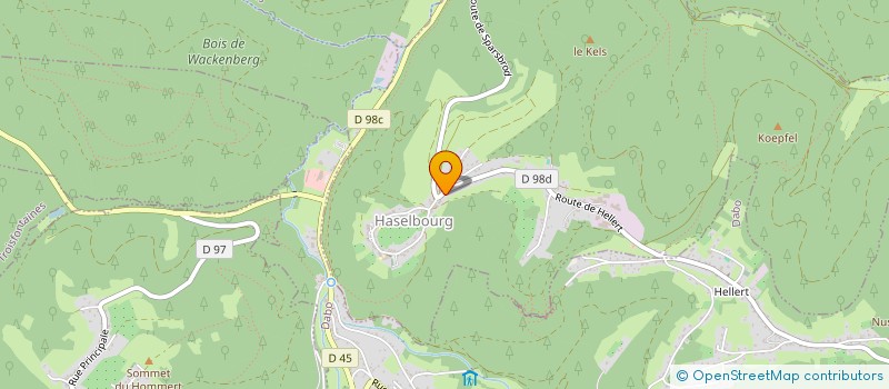 localisation de l'entreprise LES PETITS LUTINS  HASELBOURG