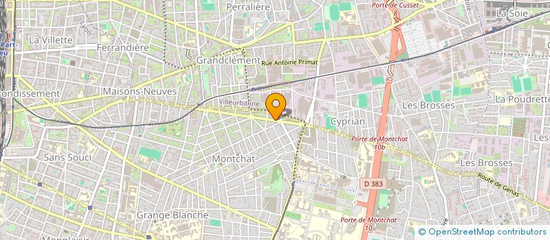 localisation de l'entreprise LES PETITS LYONNAIS  LYON