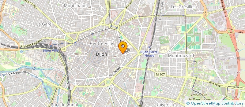 localisation de l'entreprise LES PETITS OIGNONS à DIJON